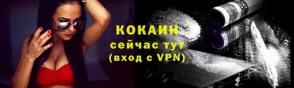 таблы Бородино