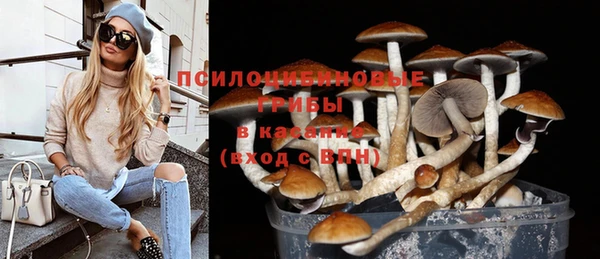 таблы Бородино