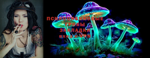 таблы Бородино