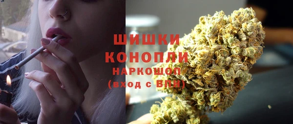 таблы Бородино