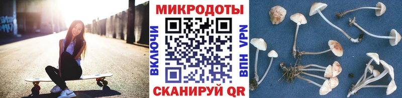 Псилоцибиновые грибы мицелий  наркотики  shop наркотические препараты  Бийск 