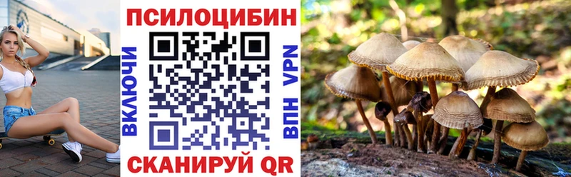 Псилоцибиновые грибы прущие грибы Бийск